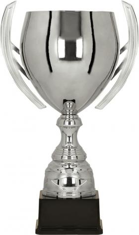 Puchar standardowy wysoki srebrny "bańka" 1062